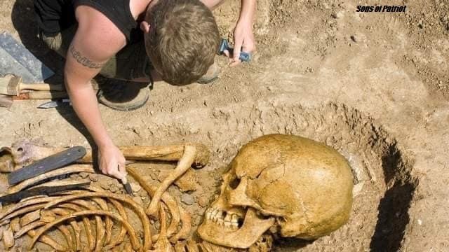 PastorBobJ67896's tweet photo. Giant finds from all over the world https://t.co/FT0dGf9NBg