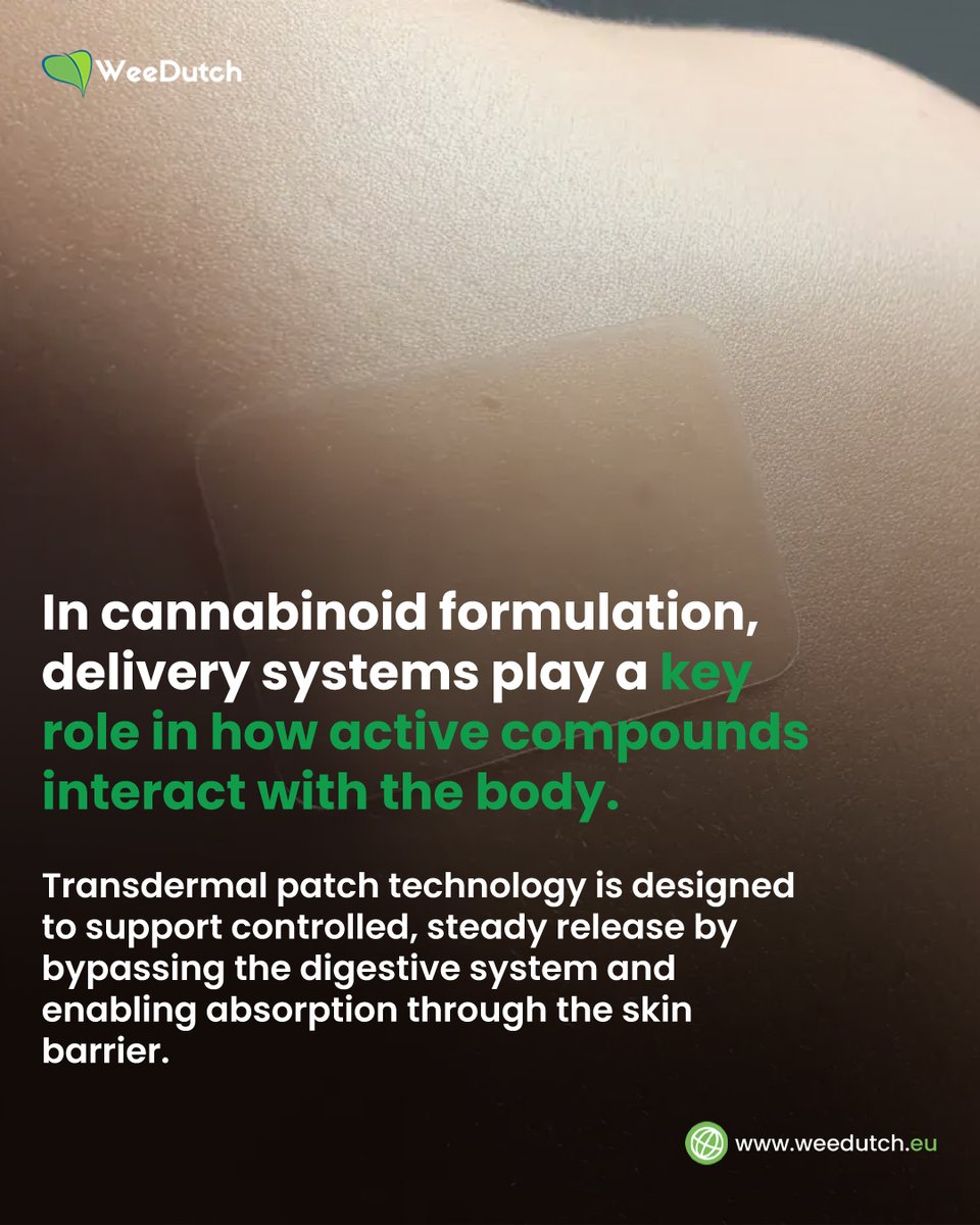 DutchWee's tweet photo. This approach relies on highly refined CBD isolates and carefully engineered adhesive matrices to ensure uniform distribution and consistent dosing across each patch. Stability, adhesion, and release performance are all key parameters. https://t.co/KMQg0PmHtp
