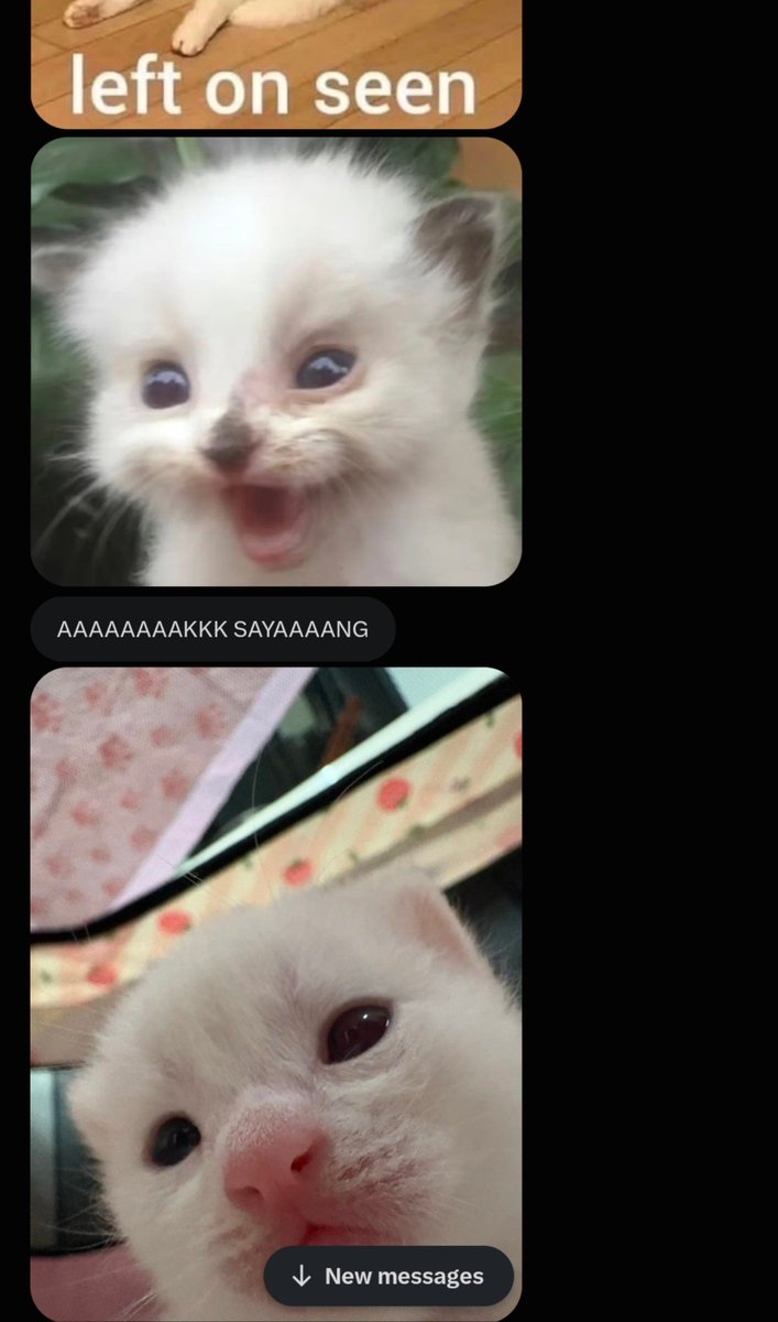 qinncs's tweet photo. Lucu banget my imut pas di tinggal ngafe 2 jam 🥺🤭 https://t.co/JkIYPiLPRm