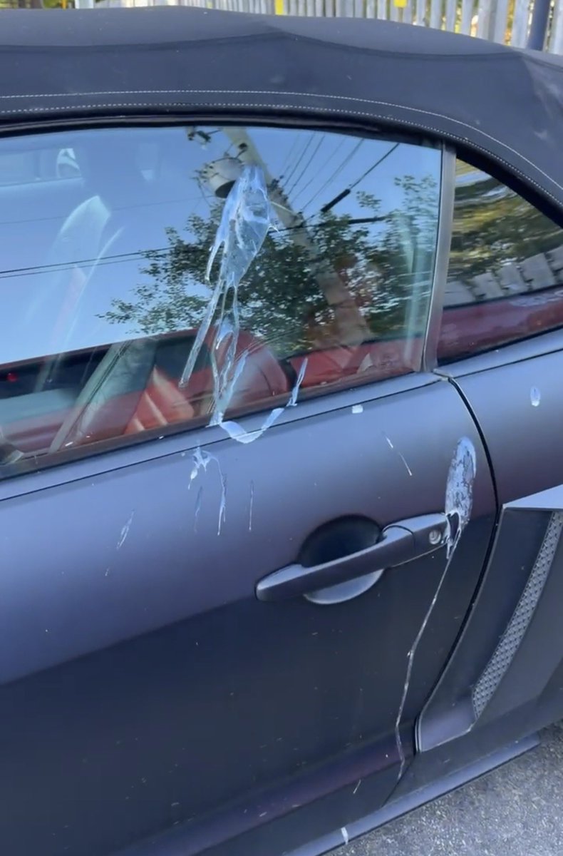 DonnieOK's tweet photo. Darn birds! #wildlife #shit #funnynotfunny yes I swore lol. Happy Friday. https://t.co/CqTbzB1EIP
