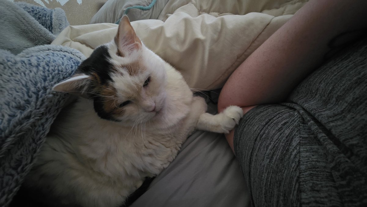 JRZYG6's tweet photo. Please #pray for my little #baby #LillyRose 🌹🥀 her time has come for the #rainbow 🌈 bridge. We had a great 12 years together. #Fuckcancer
I love you mowhawk https://t.co/3ddDHnmPn0