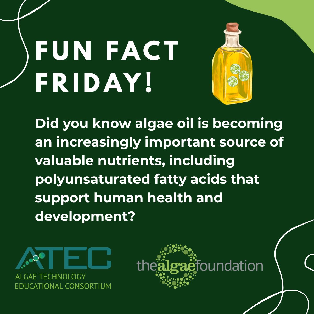 ATECalgae's tweet photo. Fun Fact Friday! 🌿 Did you know algae oil is becoming more of an important source of valuable nutrients supporting health? Researchers developed a way to refine algae oil using enzymes instead of harsher chemicals to preserve more beneficial nutrients. https://t.co/wNwJgcpQO3 https://t.co/ztpmVtC5LW