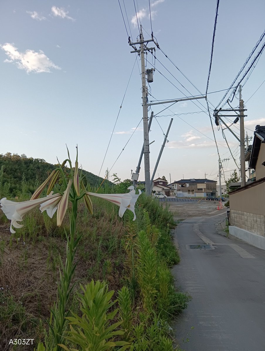 hatasaiishikawa's tweet photo. 内灘町西荒屋地区
液状化現象が起きたエリア
公民館.こども園があった場所は更地に。しかしまだ地下水が浮上してた！
解体によって横たわった街灯に光が切なく灯る
公園は当時のままの姿
密集してた住宅もまばらに備え建つ状態
金沢市から15km
復興と言われる場所はまだまだ先に感じられます。

#幡再 https://t.co/LmxkfEAKM7