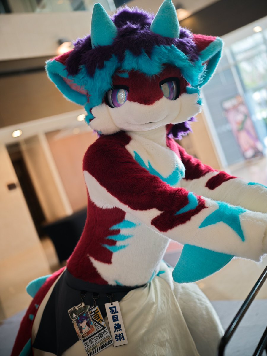 TANA_01090's tweet photo. 瞅啥呢，還不快來摸我

📷：@hertz0426

#FursuitFriday https://t.co/pQyt1EAeQC