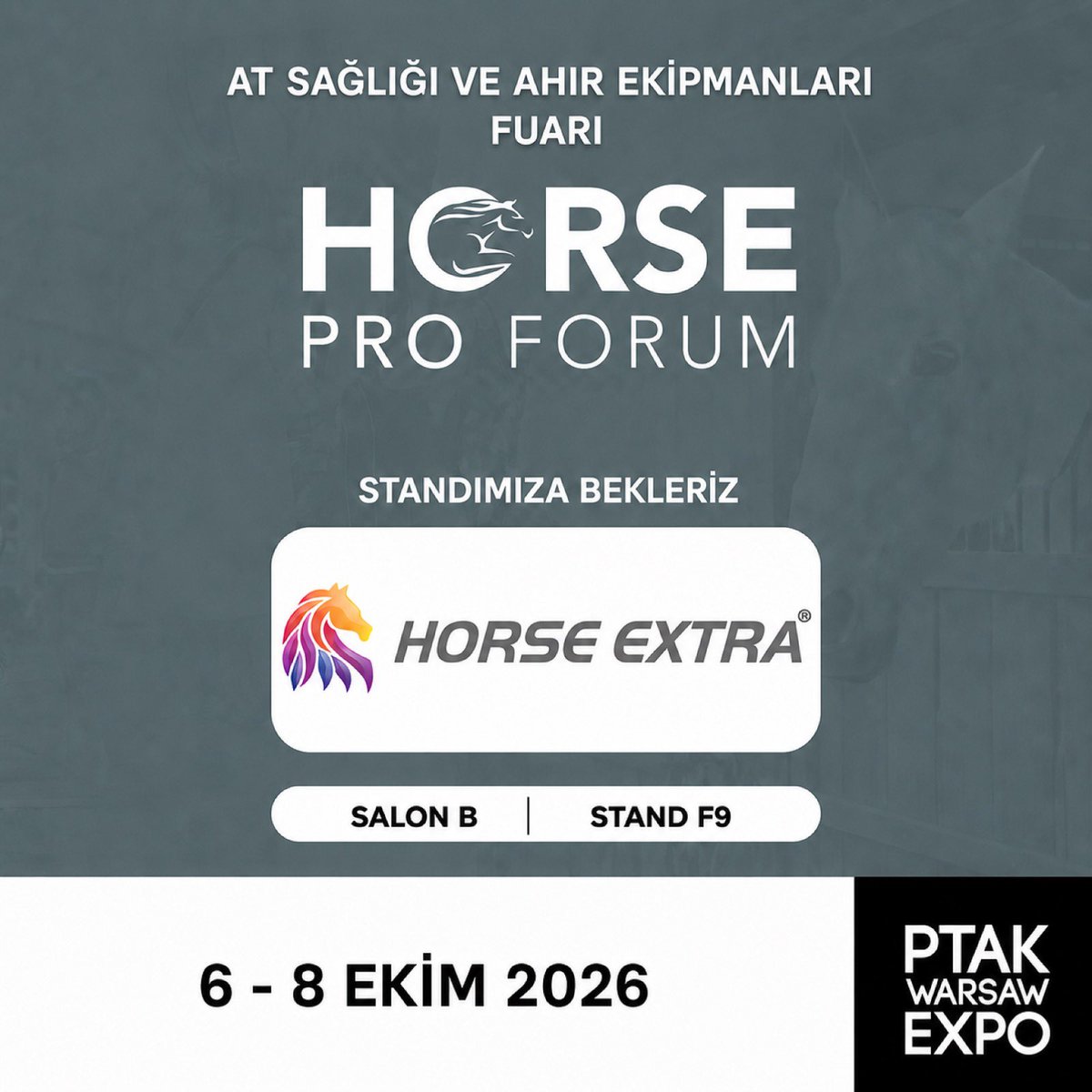 HorseExtra's tweet photo. https://t.co/Md1sQuhEiK