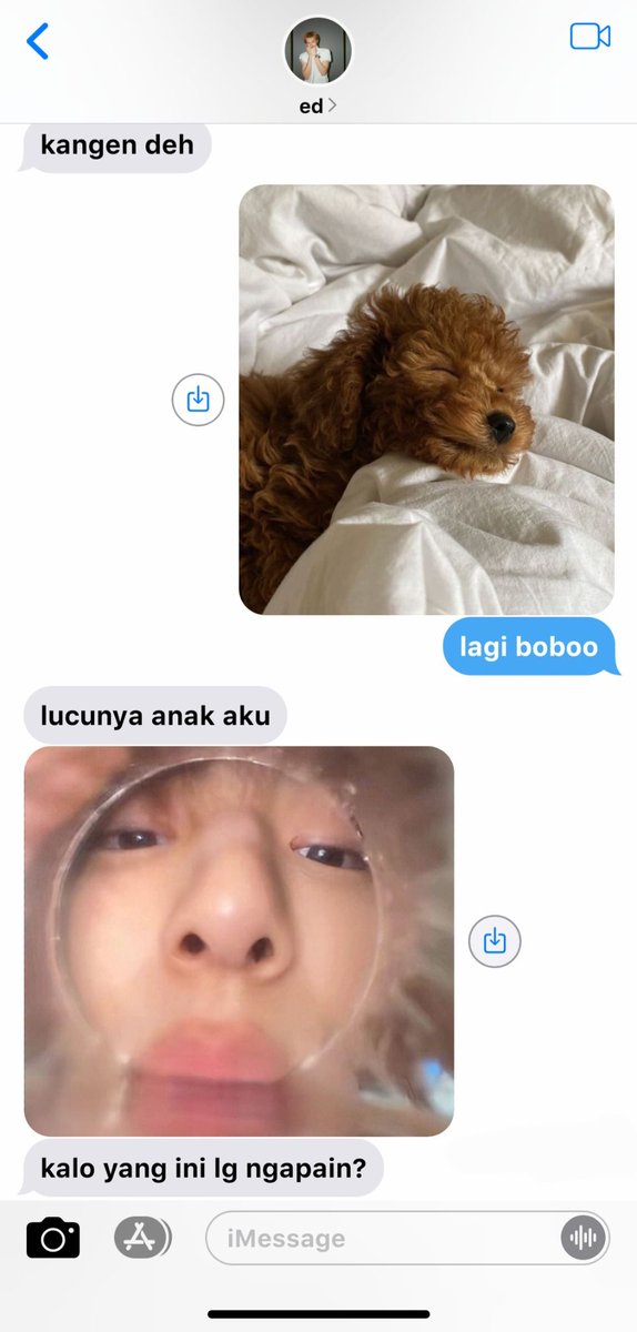 basemarhoon's tweet photo. prompt aumaju! edisi mantan kandung jalur ngurusin pet bareng :3 anyone want to be tagged kalo au nya debut? https://t.co/6HfYck6386