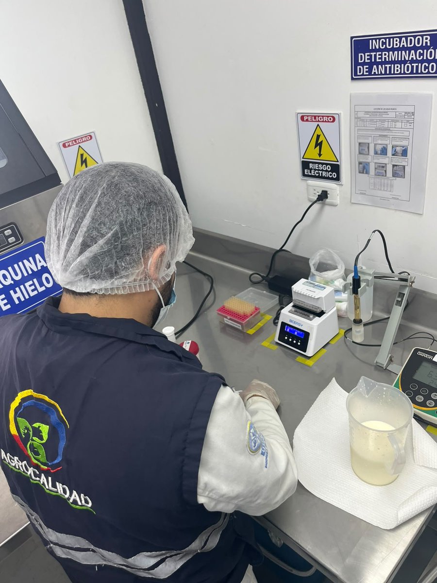 AgrocalidadZ4's tweet photo. 🥛 | #ProtegemosLoQueConsumes

En #SantoDomingo, tras una denuncia, inspeccionamos un centro de acopio de leche cruda. Verificamos 3.970 litros y, al detectar aflatoxinas, se procedió a su decomiso para proteger la salud de los consumidores.

#ProtegemosElAgroEcuatoriano 💪🏽 https://t.co/OIveMtaN71