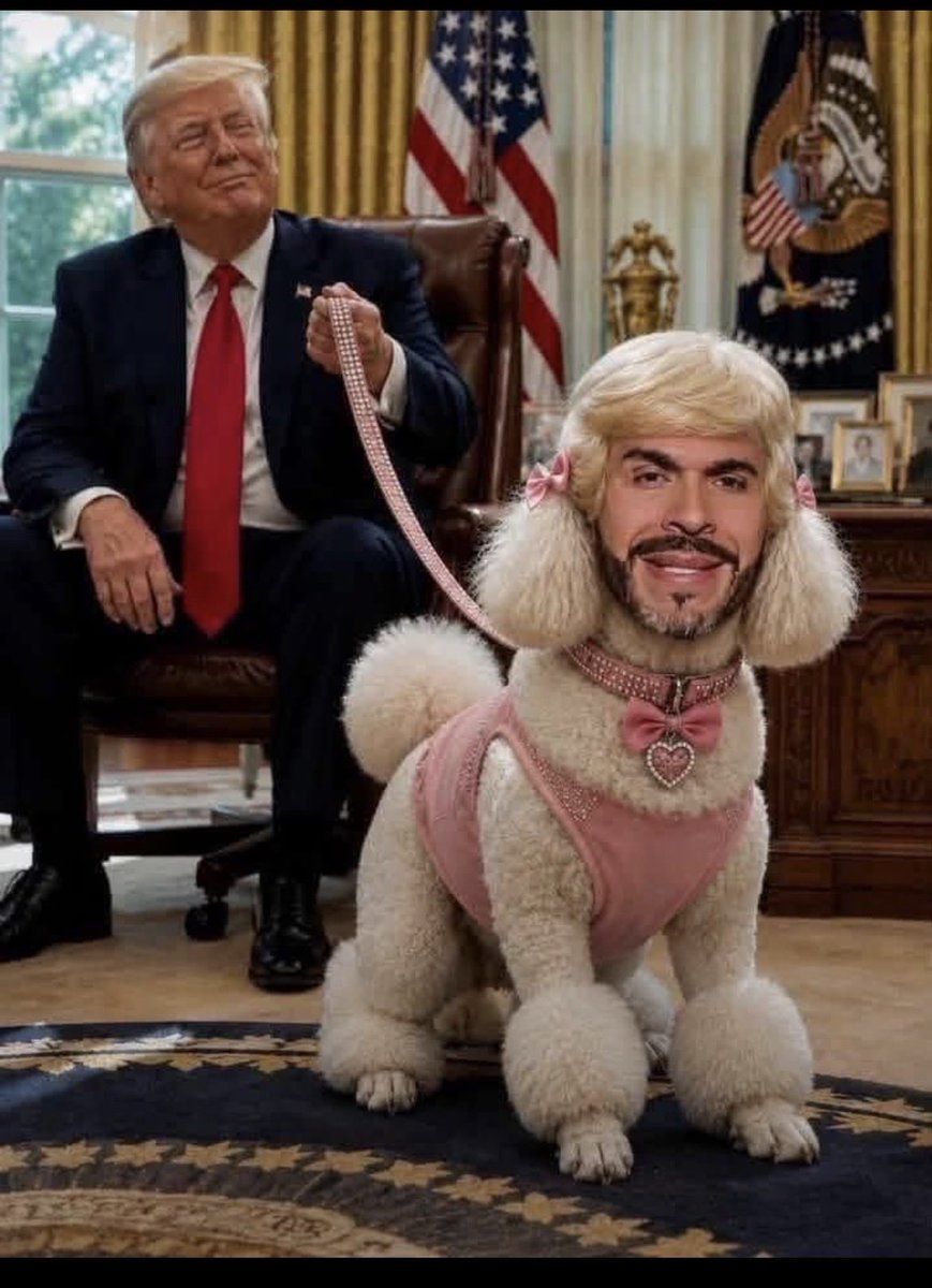 Sergio2763243's tweet photo. @IvanCepedaCast Botox: Listo 
Injerto de pelo y nalga: Listo
Betún pa’ la barba: Listo 
Plantillas de 25cm para disimular la pequeñez: listo 
#LaPerraDeTrump está lista https://t.co/vsAau95Vcv