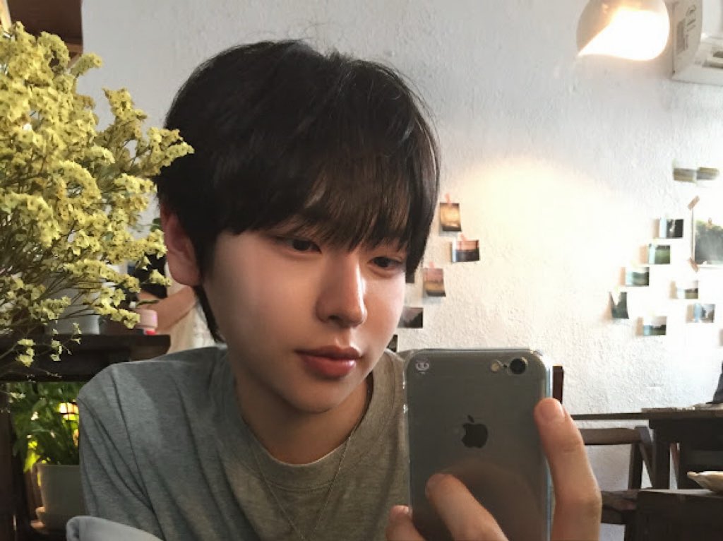 IDID_starship tweet picture