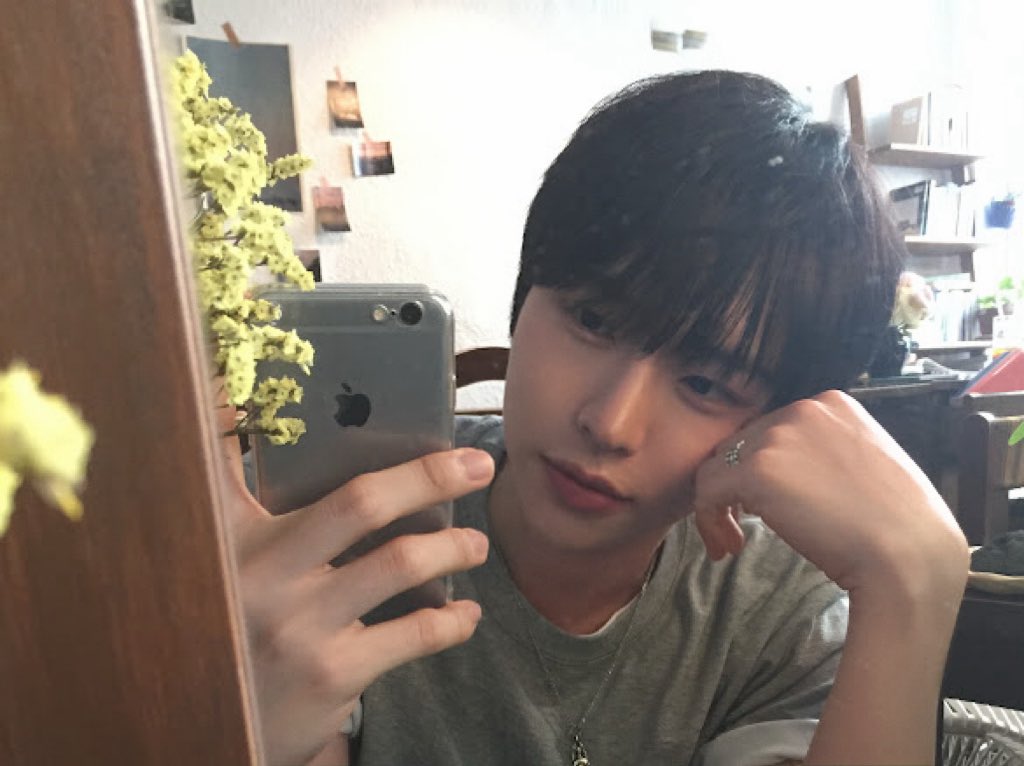 IDID_starship tweet picture