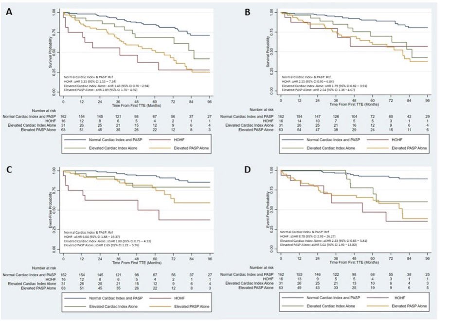LeivaOrly's tweet photo. 🚨New Pub🚨

HOHF is assoc w MPNs. In this study we characterized pts with ET or PV by TTE cardiac output and PASP. There was an assoc between ⬆️ risk  progression to MF or leukemia among those with HOHF compared to normal hemodynamics.
#CardioOnc #MPNsm

https://t.co/iHGa7Py5QQ https://t.co/EQwIojQxz3