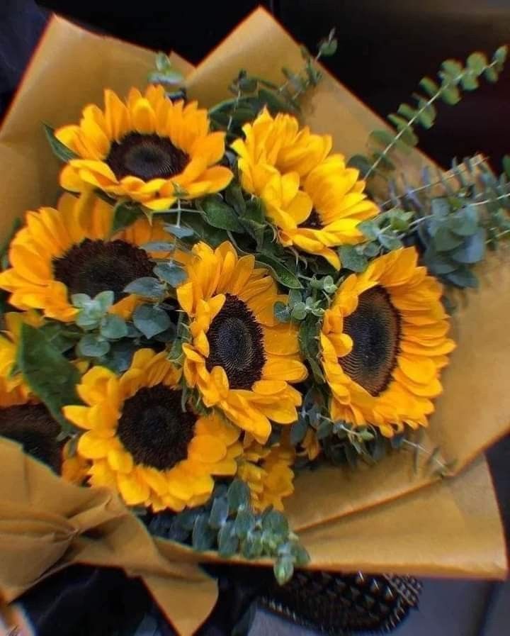 hanzalaethic's tweet photo. Pretty 🌻 https://t.co/7MCMquPn5g