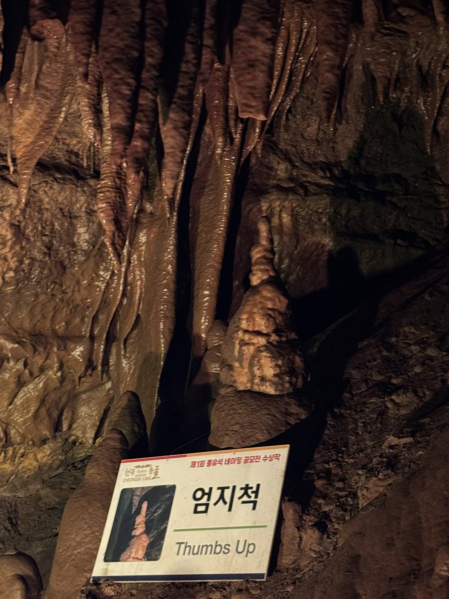 g1een3e's tweet photo. 엄지척
바다 실컷보고옴 🧑‍🩰 https://t.co/S5lOs1hia8