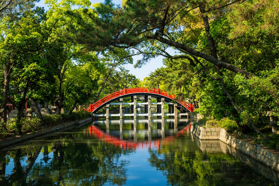 PortilloAc21643's tweet photo. 🗻 https://t.co/ZtyALKY2TV