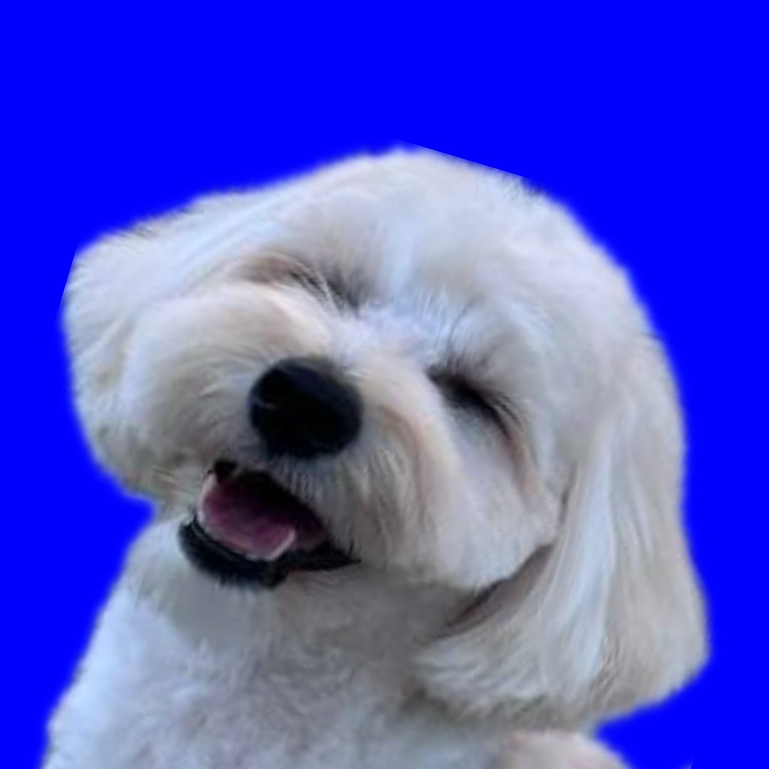 vibeB20's tweet photo. @Arthur_K88 @Mert89base @baseapp @yasinaktimur @vrnouns it’s me 🐶 wooooooof 👋 https://t.co/FtxKQVJ5JA