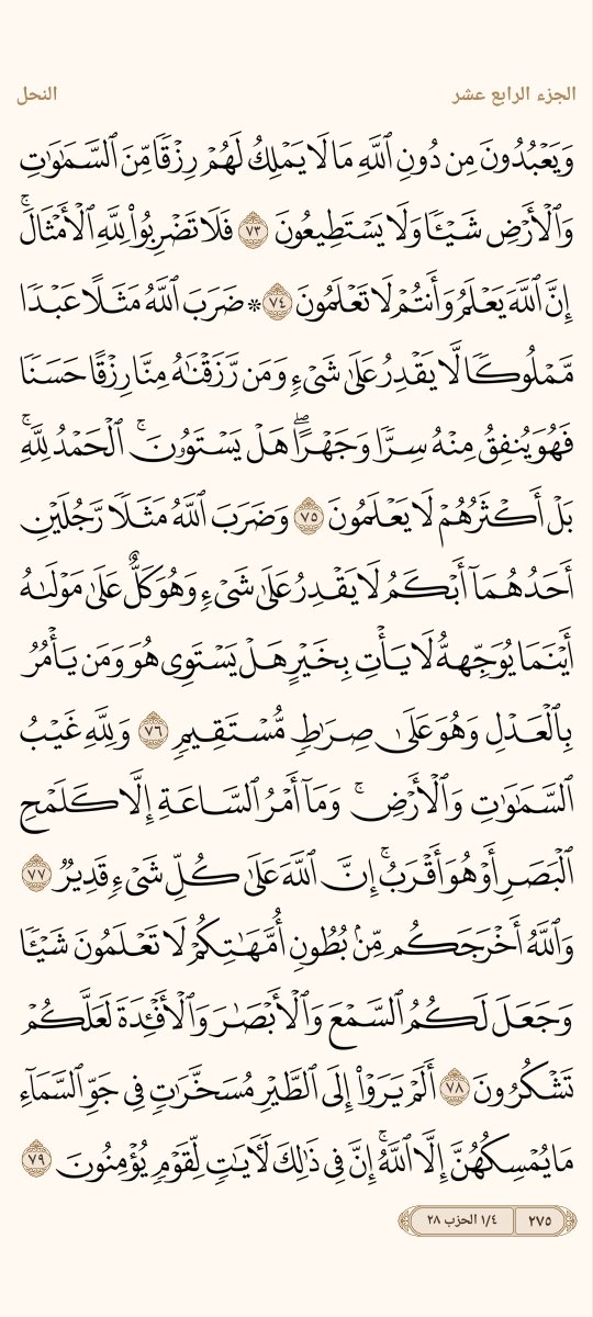 AlMosahf's tweet photo. ورد السبت https://t.co/VHlW5C2Pt0