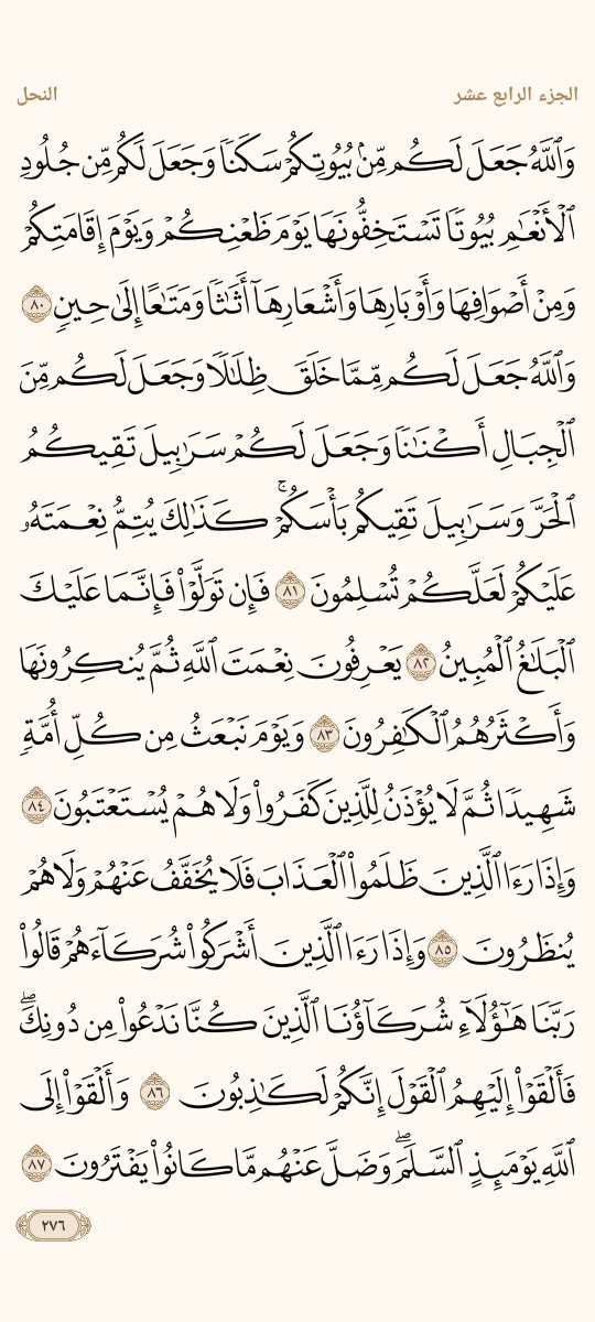 AlMosahf's tweet photo. ورد السبت https://t.co/VHlW5C2Pt0