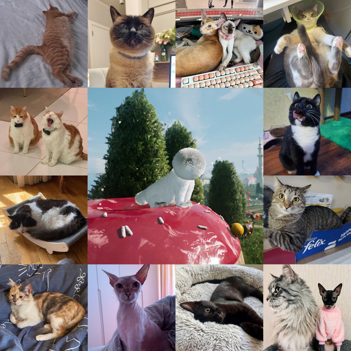 mundfish's tweet photo. Happy International Cat Day! 🐈🐈‍⬛
Meet the furry members of our team - regular guests on our calls and top specialists in moral support. 🐾
#AtomicHeart #InternationalCatDay https://t.co/y4yFRtQlk0