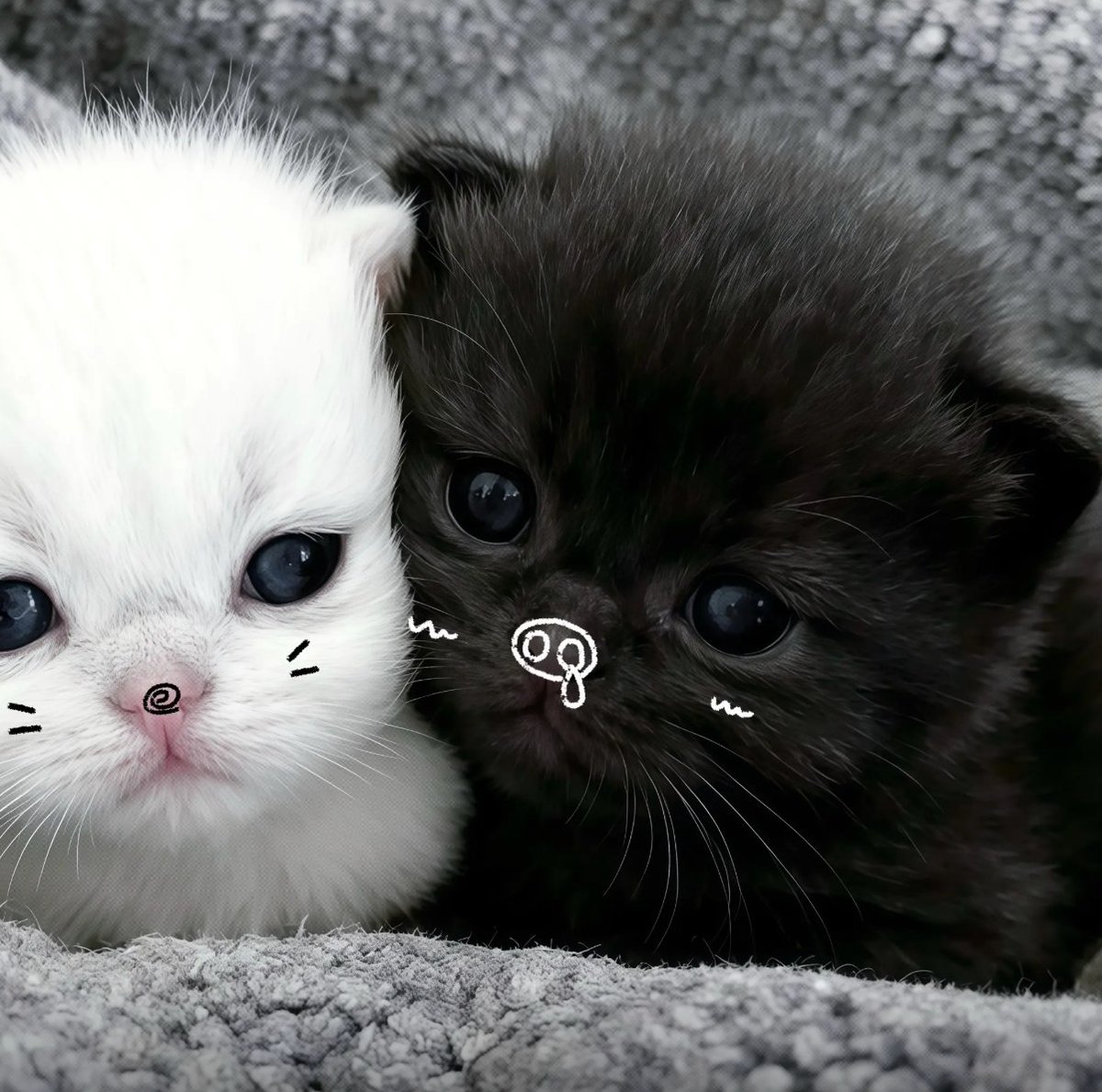 culKitten's tweet photo. https://t.co/2dHCxYMisC