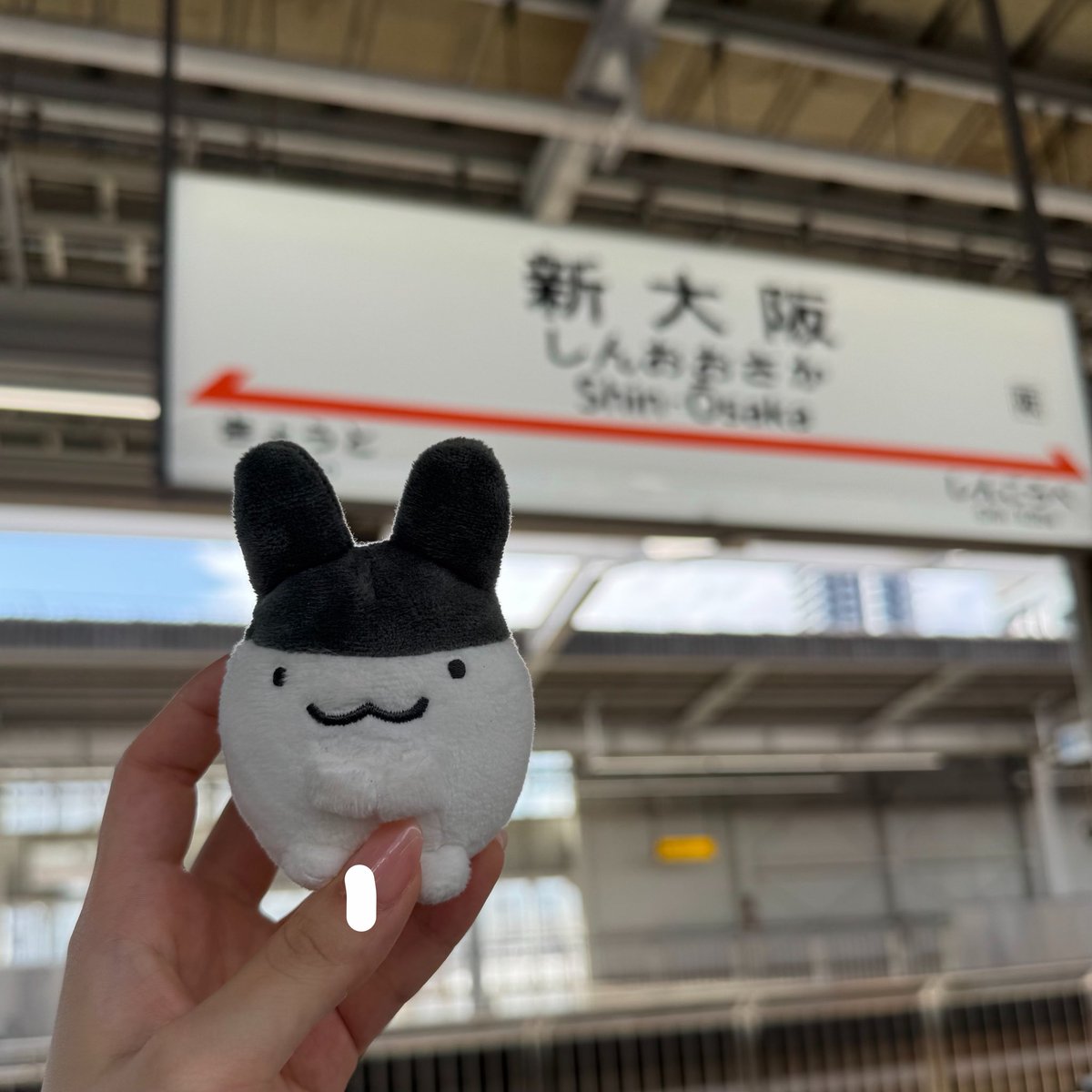 mo_pzx's tweet photo. おーさか💙まけ❤️ https://t.co/WkalNy8OkP