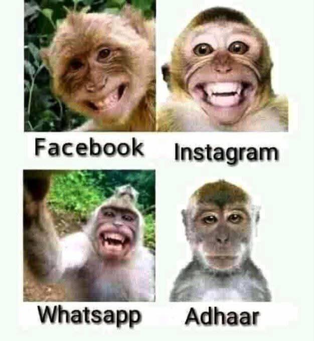 eliaskashyap2's tweet photo. @KrishaAsiagh 😂🙃 let me see her exclusive content with my govt ration card https://t.co/4uxsX6uk8J