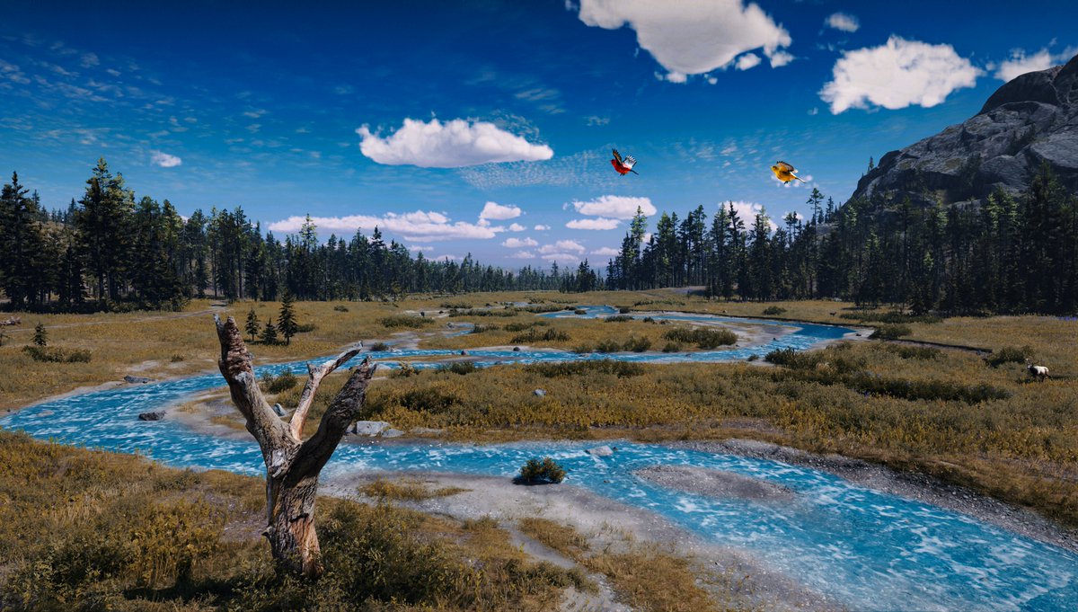 rdr2shotss's tweet photo. 📷#RedDeadRedemption2 #RockstarGames https://t.co/wFkymigiCv