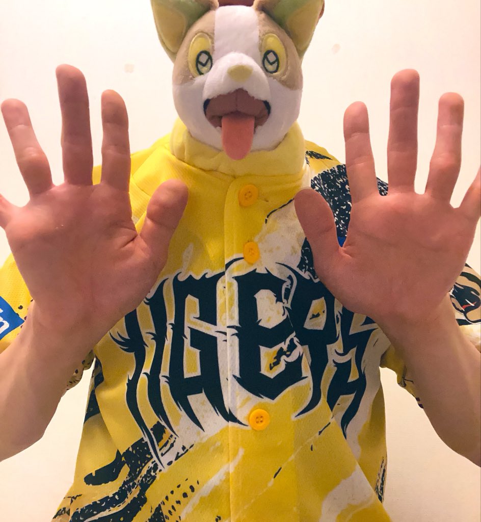 LenBug423's tweet photo. ヤンチャム「オイラ巨人ファンだぜ！」
ワンパチ「ボク阪神応援してるよー！」

#ポケぬい
#giants
#tigers https://t.co/i3C4E8nJaQ