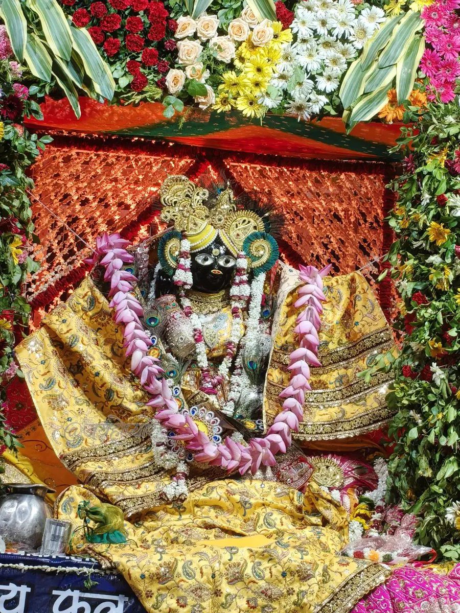 vrindavan_love's tweet photo. श्री बांके बिहारी जी के आज शाम के  बहुत प्यारे दर्शन 07/08/2026🙏🏻❤️ फूल बंगले🙇🏻‍♂️
.
. Daily Darshan ke liye follow kare 🦚 🙏🏻 
.
#vrindavandham🌹🌷♥️🌸🌺👏🙏 #bankebihariji🌸🌸❤️❤️🙏🏻🙏🏻 https://t.co/3zo2tDkT5f