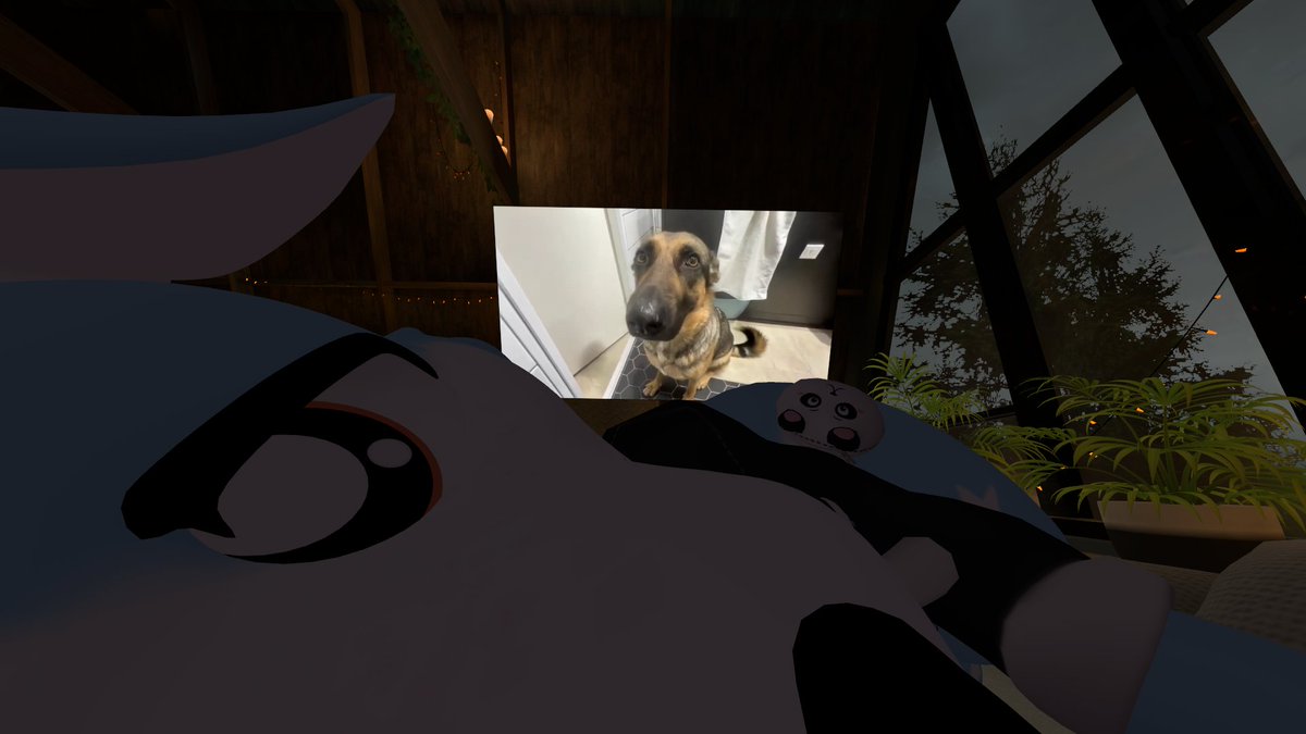 kikkislost's tweet photo. My stupid dog wont stop whining 🙄🙄🙄 any tips on how to make her stop??? @Zazy_work
#furry #dog https://t.co/zEsViy4tmc
