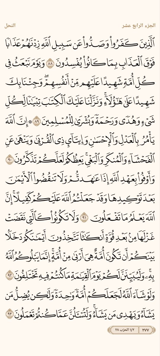 AlMosahf's tweet photo. ورد الأحد https://t.co/1TYm3Fj9uc