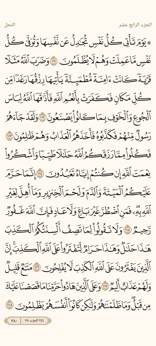 AlMosahf's tweet photo. ورد الاثنين https://t.co/5Nf4tCvFeD