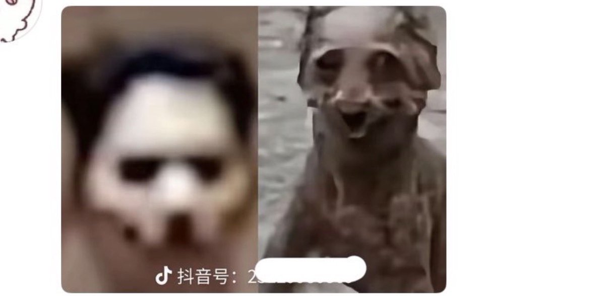 2356201549P's tweet photo. 不是说爱豆长的丑就是死罪吗 那西村力的死刑什么时候执行 https://t.co/IILdaroV4w