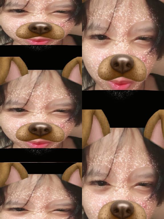urmidnightraing's tweet photo. goodnight #dogfilter #moots https://t.co/DrstvwzOgH