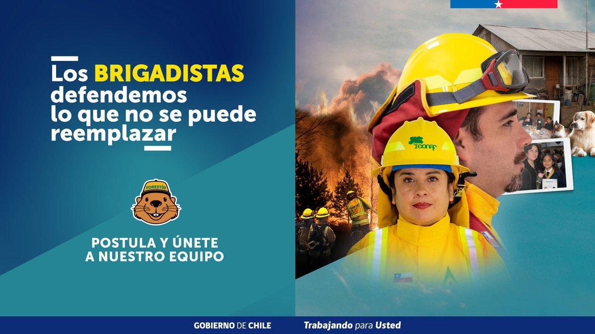 conaf_minagri's tweet photo. ¡Los brigadistas defendemos lo que no se puede reemplazar! 🌳🏡💚

CONAF abre convocatoria de brigadistas forestales 2026-2027: Postula y únete a nuestro equipo AQUÍ: https://t.co/v3pfbaawDT https://t.co/PlQjzBagQJ