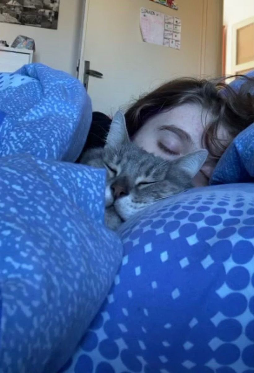 NoCatsNoLife_m's tweet photo. Good nap 🥰🧡 https://t.co/fbgtVqttCb
