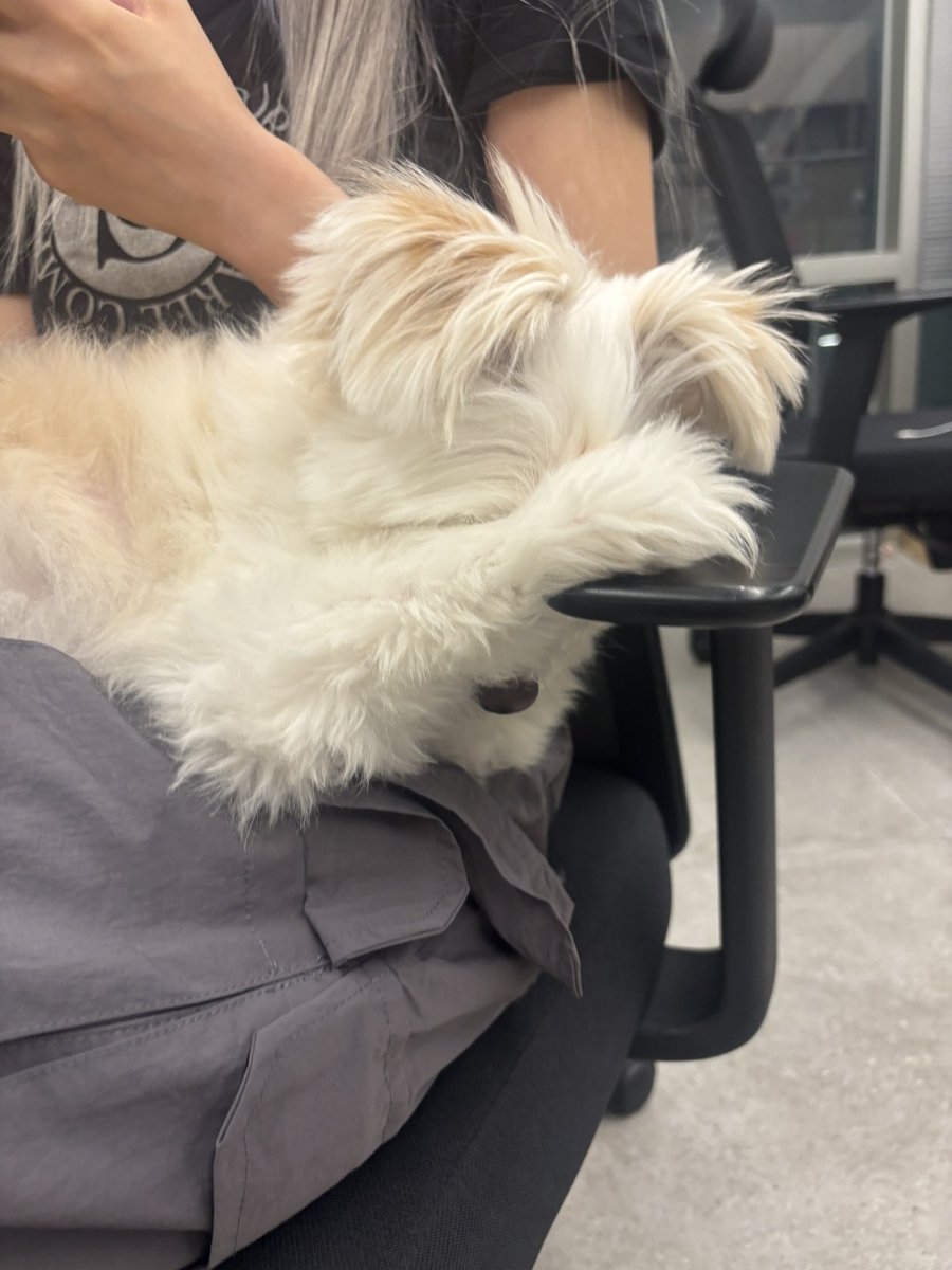 Noopppp_y's tweet photo. 앙탈 https://t.co/r2H0Ynu1Id