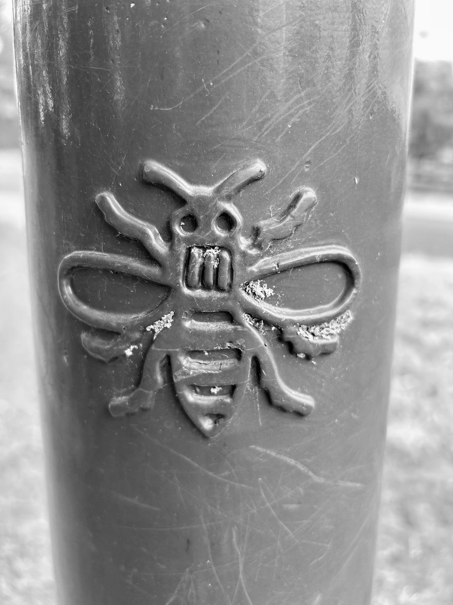 HellingtonBoots's tweet photo. #FerrousFriday
A Manchester Bee on a bollard in Barnsley! π Think he mightβve taken a wrong turn!
#Oxspring
#LegsAndLaces π https://t.co/Jz08BbE0du
