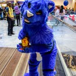 Photo by That Blue Tiger Thing (@ExtroTheTiger)