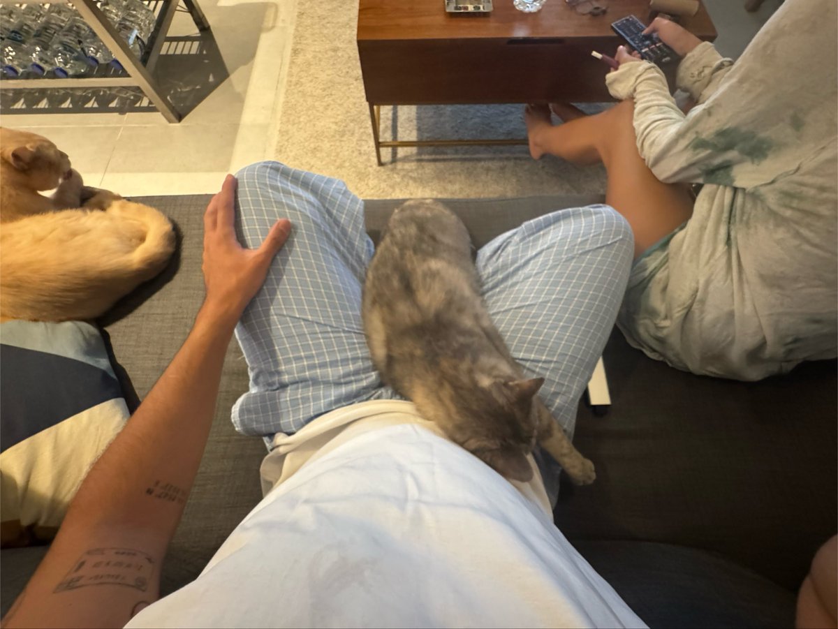 ibnsoni's tweet photo. I got meows on me https://t.co/LZEU28kbqD