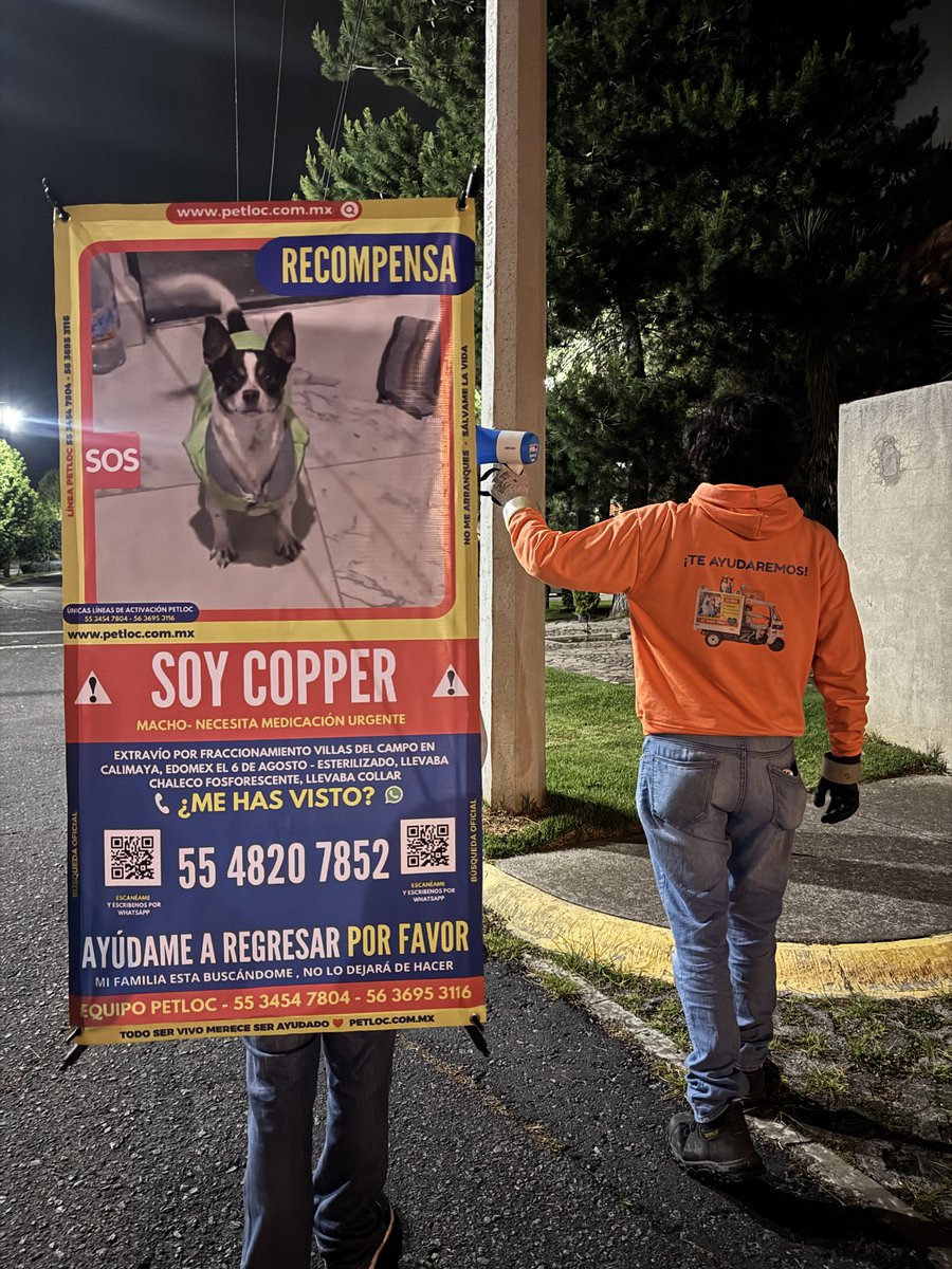 PetlocMX's tweet photo. 🚨🐶 ¡AYÚDANOS A ENCONTRAR A COPPER! ⚠️
La búsqueda continúa en Villas del Campo, Calimaya, Edomex. Si lo has visto o tienes información, comunícate al 55 4820 7852. 📞

📢 Comparte para ayudarlo a regresar a casa. 💙

#Copper #PetLoc #PerroExtraviado #Edomex https://t.co/pLEZALgbgT