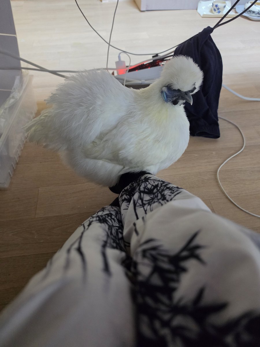 mamama03ma's tweet photo. 방향을 바꿈... https://t.co/cUuF5nFfwa