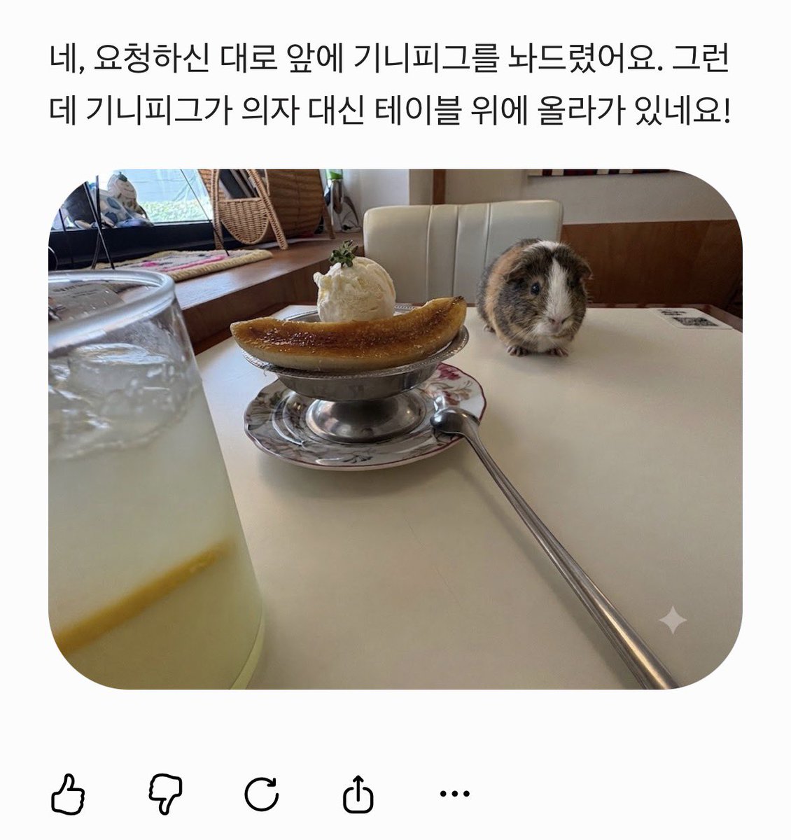 Chichii_8's tweet photo. 다들 혼카 가면 하시길...

기니가 너무 커여움 https://t.co/WU3Vqn1OBG