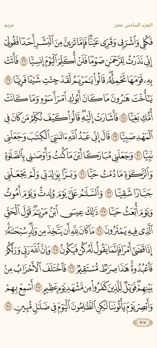 AlMosahf's tweet photo. ورد الاثنين https://t.co/Vz4XqOy6tL
