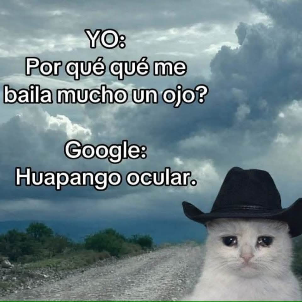 RincnCuriosoo's tweet photo. 😅 https://t.co/CSkkuNWn8Y