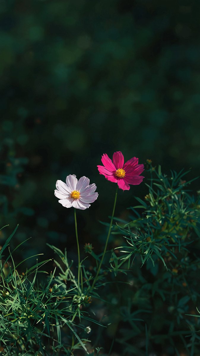 worldclick56 tweet picture