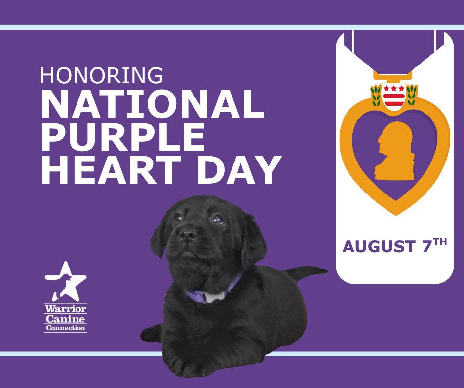 WarriorCanineCn tweet picture
