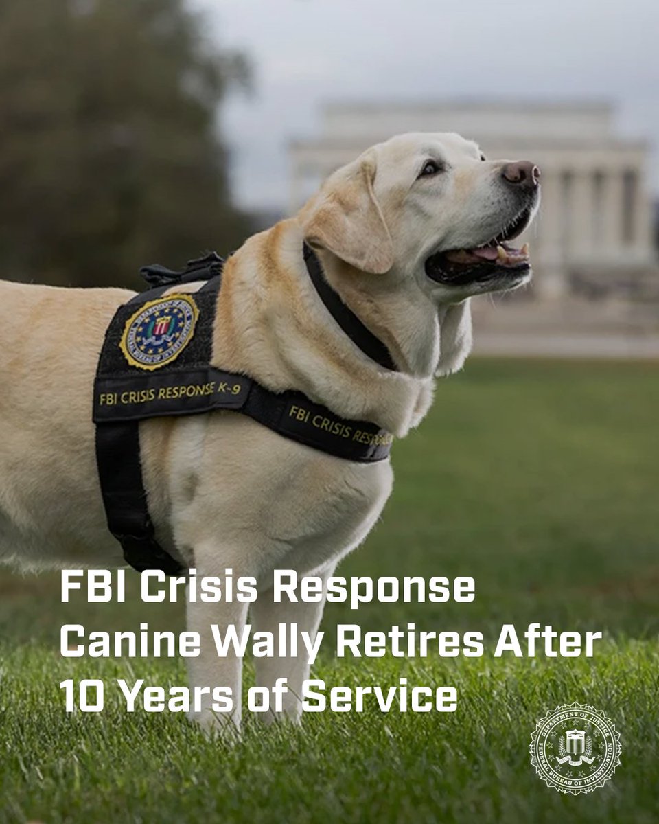 FBI's tweet photo. Wally, an inaugural member of the FBI Crisis Response Canine Program, retired from his official duties after a 10-year career.

Read more about the work of crisis canines to support victims and foster trust within impacted communities: https://t.co/N7beNG2SFA https://t.co/LiW9xWxWEd
