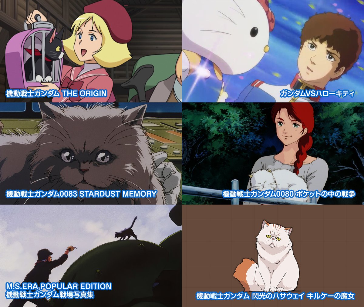 HISTORYuc's tweet photo. 🗓8月8日は
🐱『世界猫の日』

✨世界中で猫への理解を深め、幸せを願う国際デー✨

#今日は何の日 #WorldCatDay #宇宙世紀探訪 https://t.co/KKsi6Wj0C9