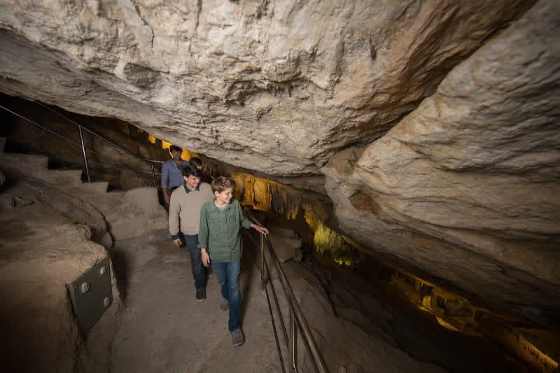 DTMV_Trisha's tweet photo. 🇪🇸Exploring Spain with Celebrity Cruises brings families closer together, from discovering Ibiza’s dramatic Caves of Can Marçà to enjoying shore excursions that spark curiosity and fun for parents, kids, and teens alike. 

✉️ Contact me today to book your Spain cruise. https://t.co/V8YzZpGOR0
