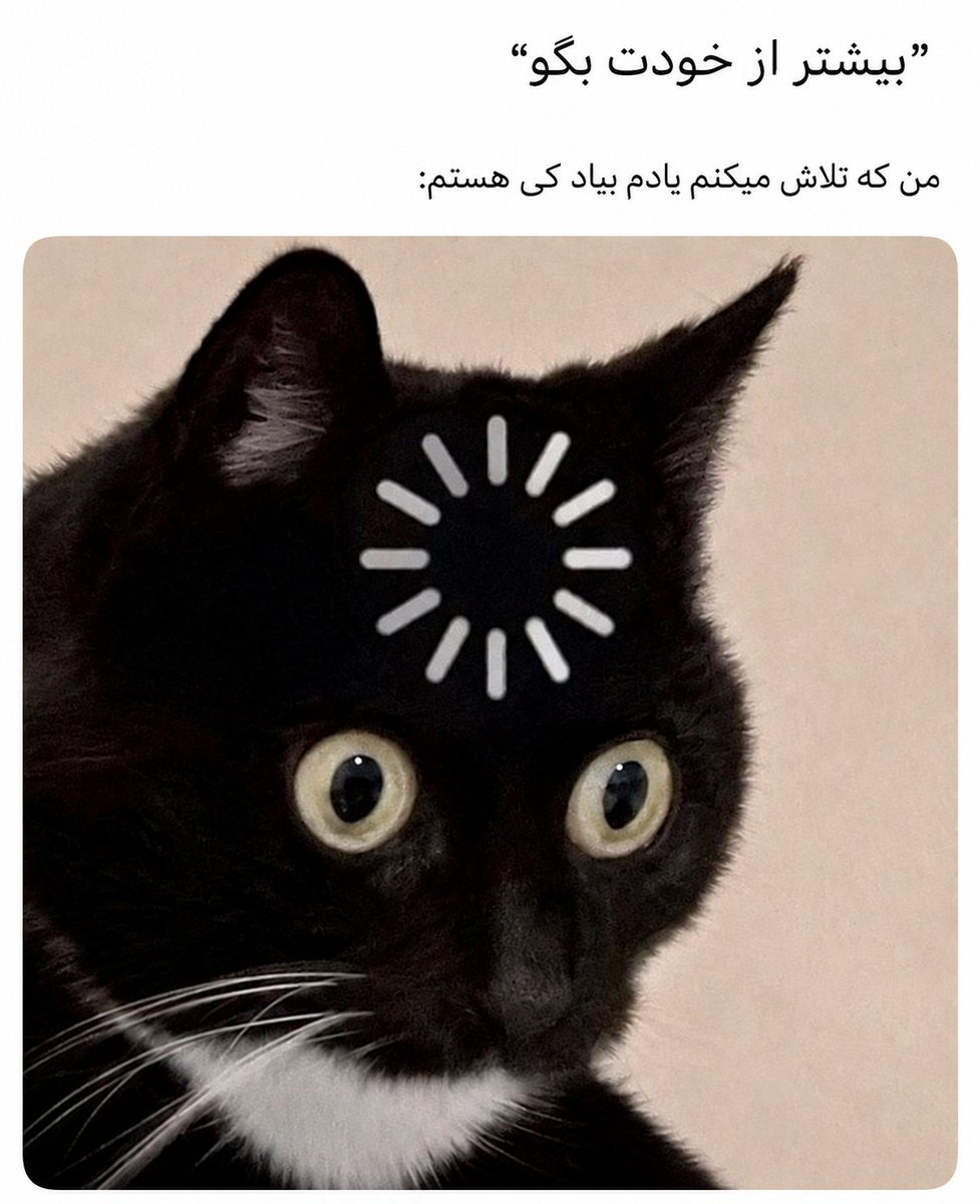 Alizxpz's tweet photo. وضعیت؛ https://t.co/NM0X9j2tJH